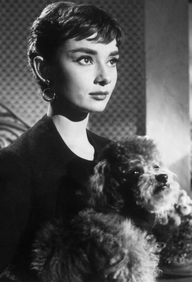 Фото: Сабрина / Кадр из фильма «Сабрина» (1954) #685597
