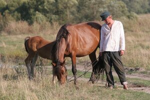 Жила-была одна баба кадр 7 онлайн-кинотеатр Эмбликс