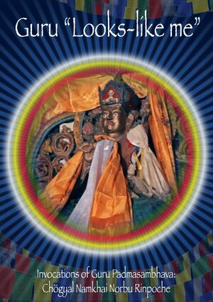 Постер: (Гуру «Похожий на меня», 2016 - вся информация о фильме на FilmNavi.ru