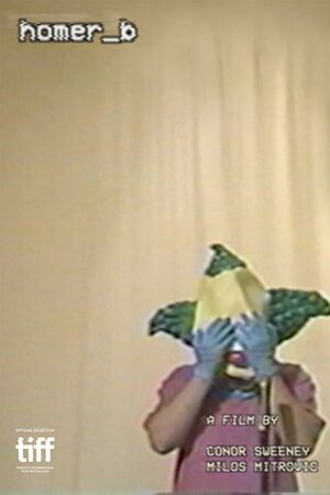 Постер: (homer_b, 2017 - вся информация о фильме на FilmNavi.ru
