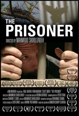 Постер: (The Prisoner, 2013 - вся информация о фильме на FilmNavi.ru