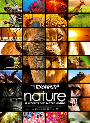 Постер: (Заколдованное королевство 3D, 2014 - вся информация о фильме на FilmNavi.ru