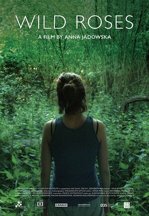 Постер: (Дикие розы, 2017 - вся информация о фильме на FilmNavi.ru