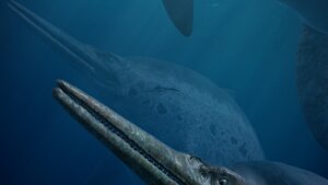 Морские динозавры 3D: Путешествие в доисторический мир кадр 5 онлайн-кинотеатр Эмбликс