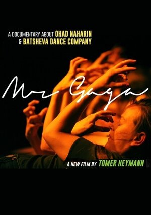 Постер: (Мистер Гага, 2015 - вся информация о фильме на FilmNavi.ru