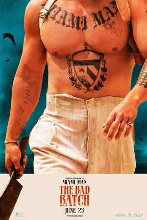 Постер: (Плохая партия, 2016 - вся информация о фильме на FilmNavi.ru