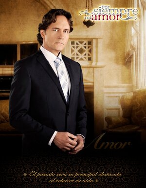 Постер: (Моя любовь навсегда, 2013 - вся информация о сериале на FilmNavi.ru