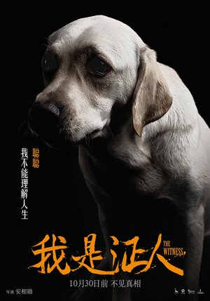 Постер: (Свидетель, 2015 - вся информация о фильме на FilmNavi.ru