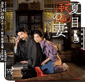 Постер: (Нацумэ Сосэки и его жена, 2016 - вся информация о фильме на FilmNavi.ru