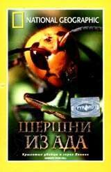 НГО: Шершни из ада (2002)