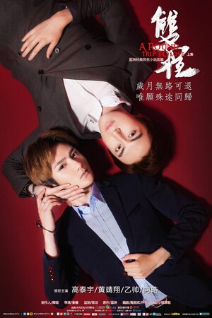 Постер: (Поездка к любви — туда и обратно, 2016 - вся информация о фильме на FilmNavi.ru