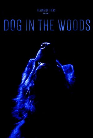 Постер: (Dog in the Woods, 2019 - вся информация о фильме на FilmNavi.ru