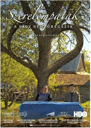 Постер: (Szerelempatak, 2013 - вся информация о фильме на FilmNavi.ru