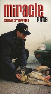  (2001)