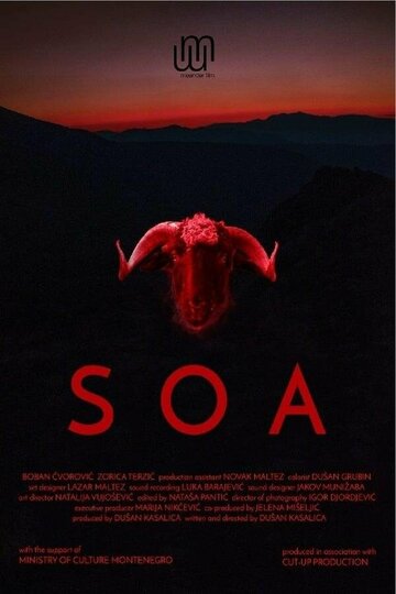  (2017)