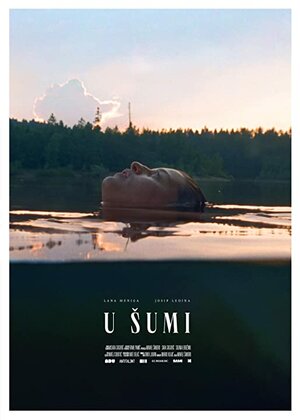Постер: (U sumi, 2020 - вся информация о фильме на FilmNavi.ru