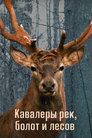 Постер: (Кавалеры рек, болот и лесов, 2012 - вся информация о фильме на FilmNavi.ru