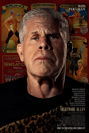 Постер: (Аллея кошмаров, 2021 - вся информация о фильме на FilmNavi.ru