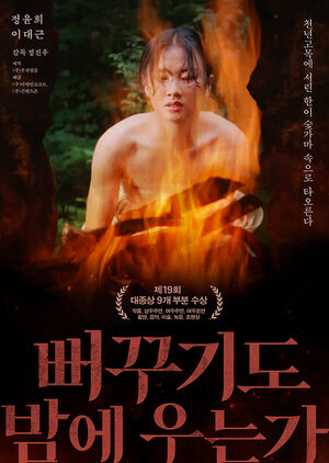 Постер: (Кукушка кричит по ночам?, 1980 - вся информация о фильме на FilmNavi.ru