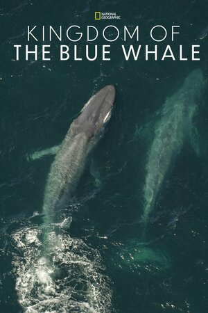 Постер: (Kingdom of the Blue Whale, 2009 - вся информация о фильме на FilmNavi.ru