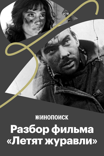 Почему фильм «Летят журавли» — культовый? (2017)