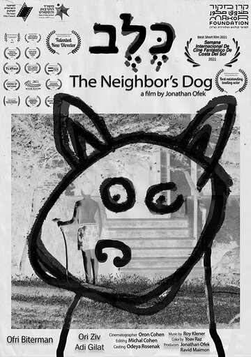 (2021)