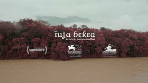 Постер: (Swamp, 2017 - вся информация о фильме на FilmNavi.ru