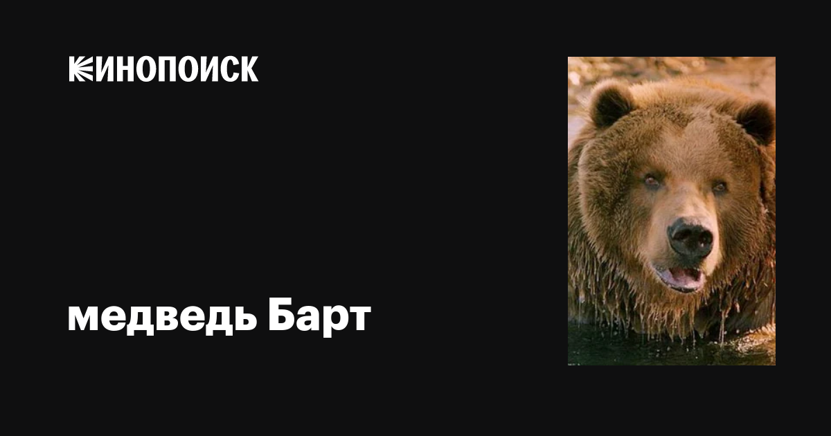медведь Барт (Bart the Bear): фильмы, биография, семья, фильмография ...