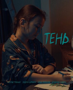 Постер: (Тень, 2024 - вся информация о фильме на FilmNavi.ru