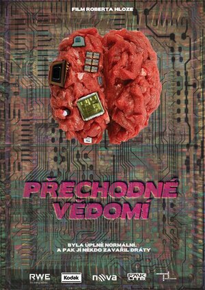 Постер: (Prechodne Vedomi, 2014 - вся информация о фильме на FilmNavi.ru