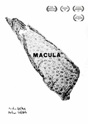 Постер: (Macula, 2023 - вся информация о фильме на FilmNavi.ru