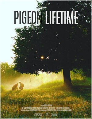 Постер: (Сколько живут голуби, 2023 - вся информация о фильме на FilmNavi.ru