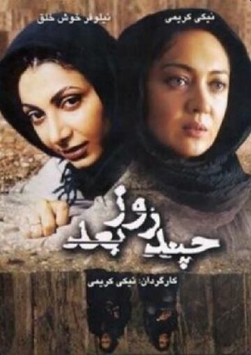 Несколько дней спустя (2006)