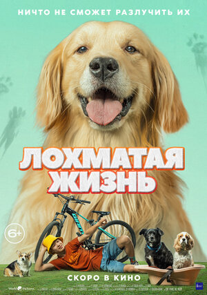 Постер: (Лохматая жизнь, 2023 - вся информация о фильме на FilmNavi.ru