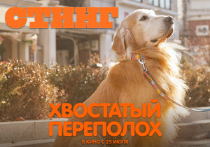 Постер: (Хвостатый переполох, 2024 - вся информация о фильме на FilmNavi.ru