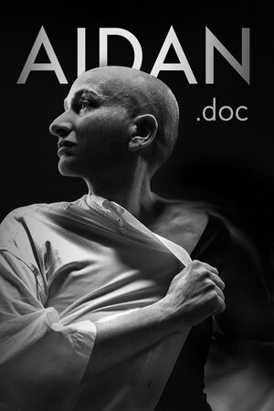 Постер: (Aidan.doc, 2023 - вся информация о сериале на FilmNavi.ru
