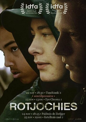  (2019)