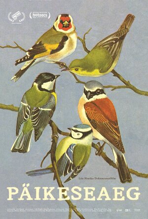 Постер: (Солнечное время, 2023 - вся информация о фильме на FilmNavi.ru