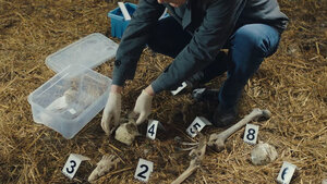 След. Новые легавые кадр 22 на Эмбликс в Hd