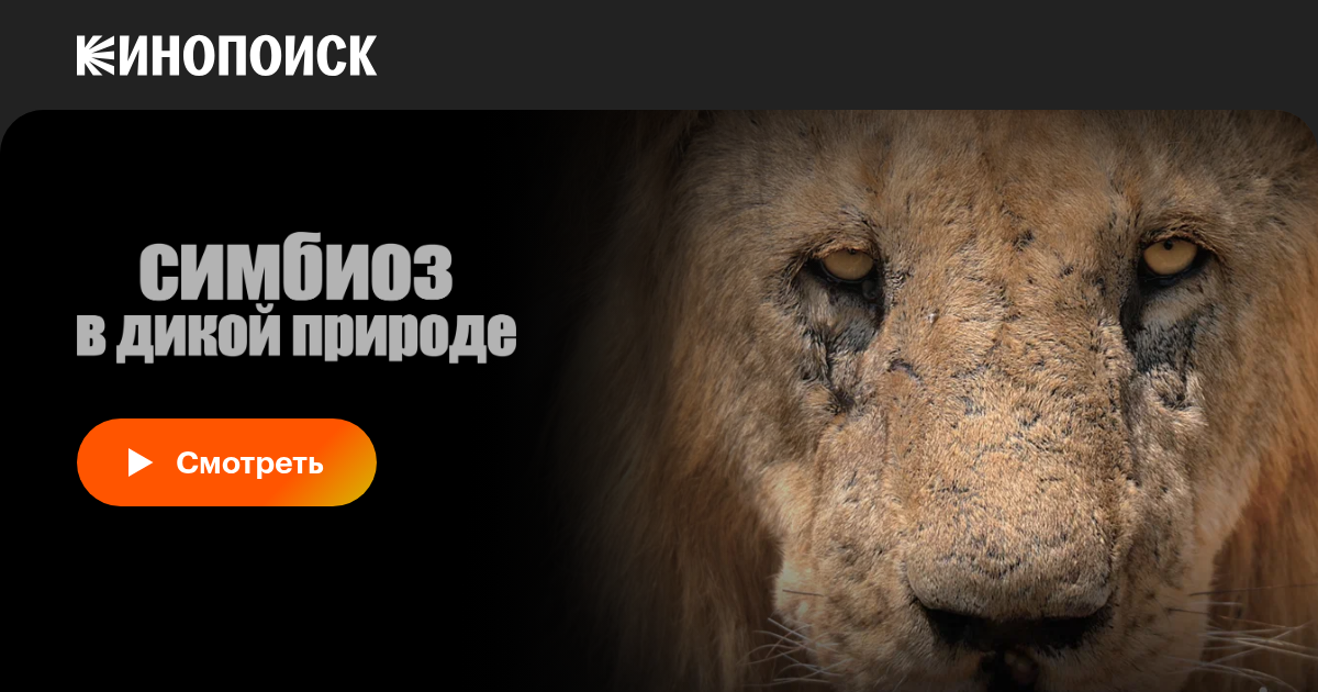 Нанядан Викамен секс тіркеусіз