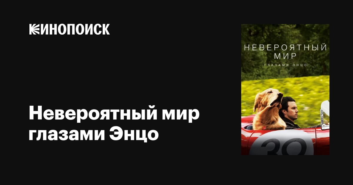 Невероятный мир глазами Энцо, 2019 — описание, интересные факты — Кинопоиск