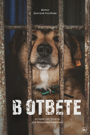 Постер: (В ответе, 2021 - вся информация о фильме на FilmNavi.ru