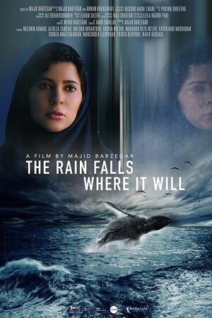 Постер: (The Rain Falls Where it Will, 2020 - вся информация о фильме на FilmNavi.ru