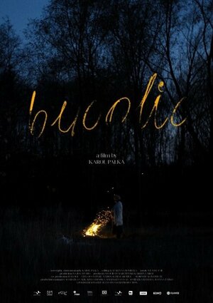 Постер: (Bukolika, 2021 - вся информация о фильме на FilmNavi.ru