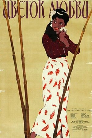 Постер: (Цветок любви, 1956 - вся информация о фильме на FilmNavi.ru