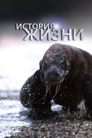 История жизни (2012)