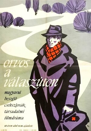 Постер: (Всюду живут люди, 1960 - вся информация о фильме на FilmNavi.ru