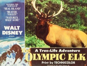 Постер: (The Olympic Elk, 1952 - вся информация о фильме на FilmNavi.ru