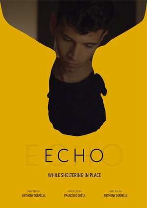 Постер: (Echo, 2021 - вся информация о фильме на FilmNavi.ru