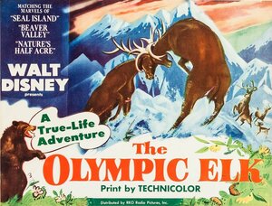 Постер: (The Olympic Elk, 1952 - вся информация о фильме на FilmNavi.ru